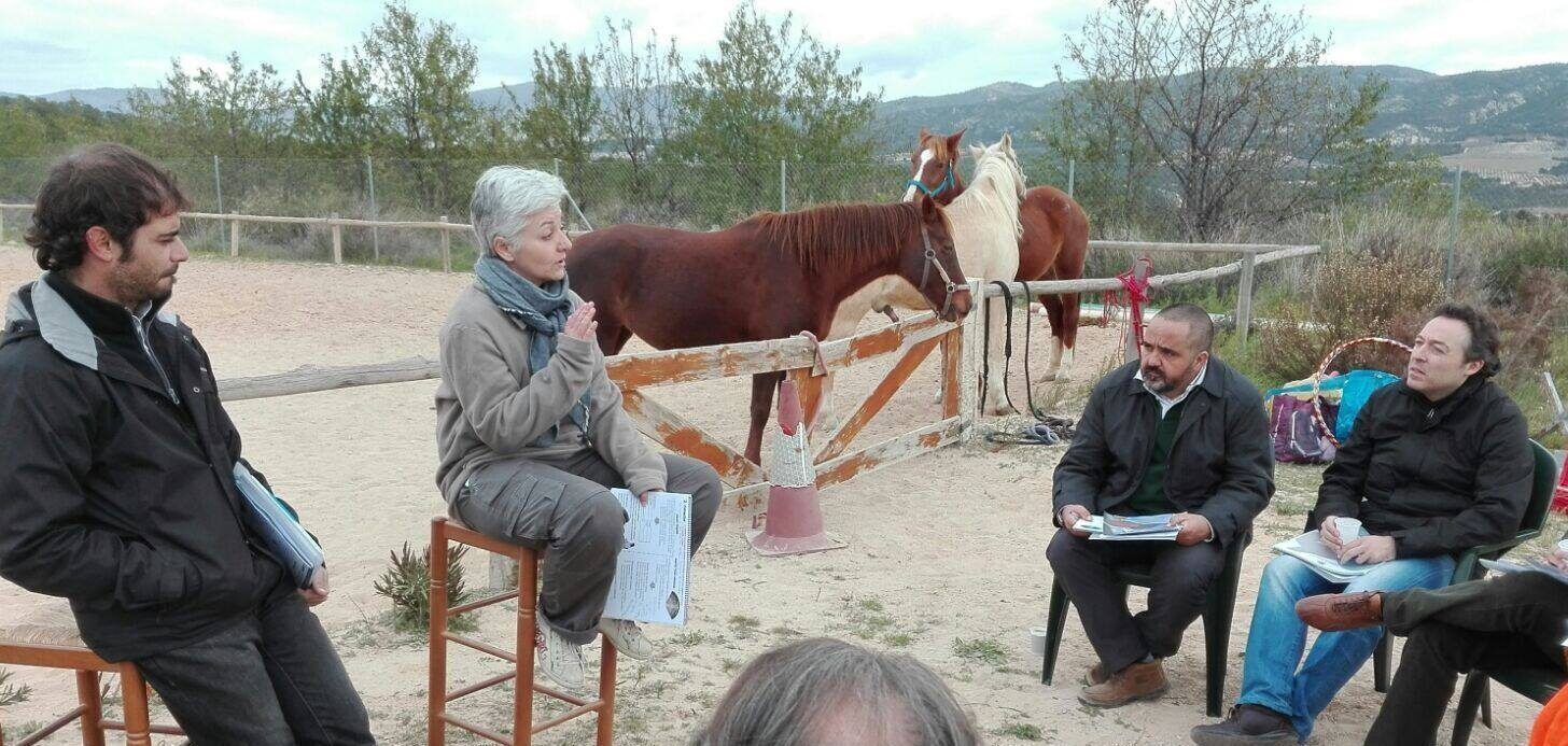 Clase con caballos