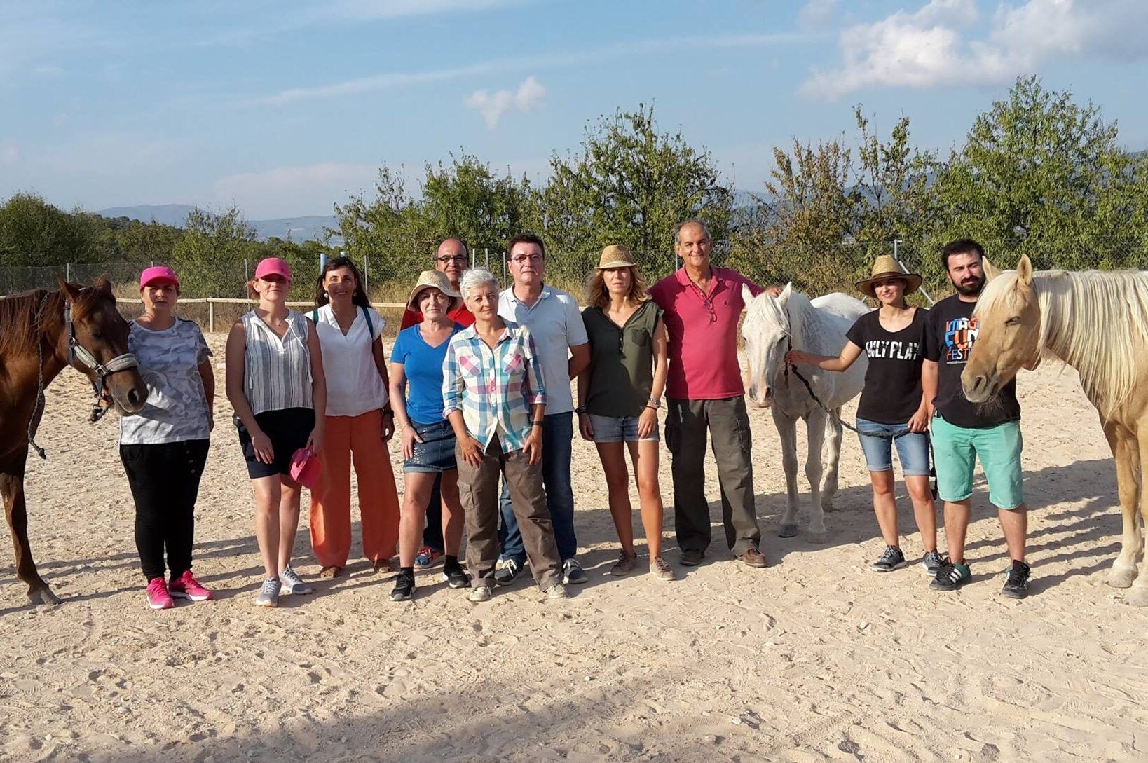 Equipos: Coaching con caballos en alicante
