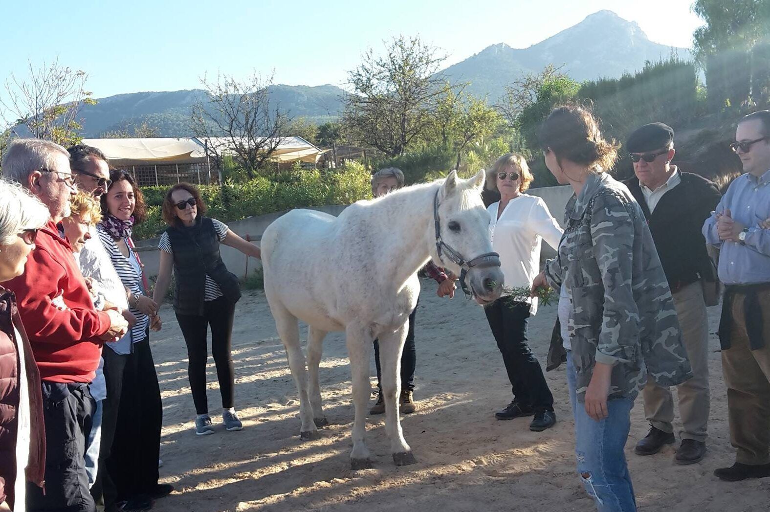 Jornadas outdoor