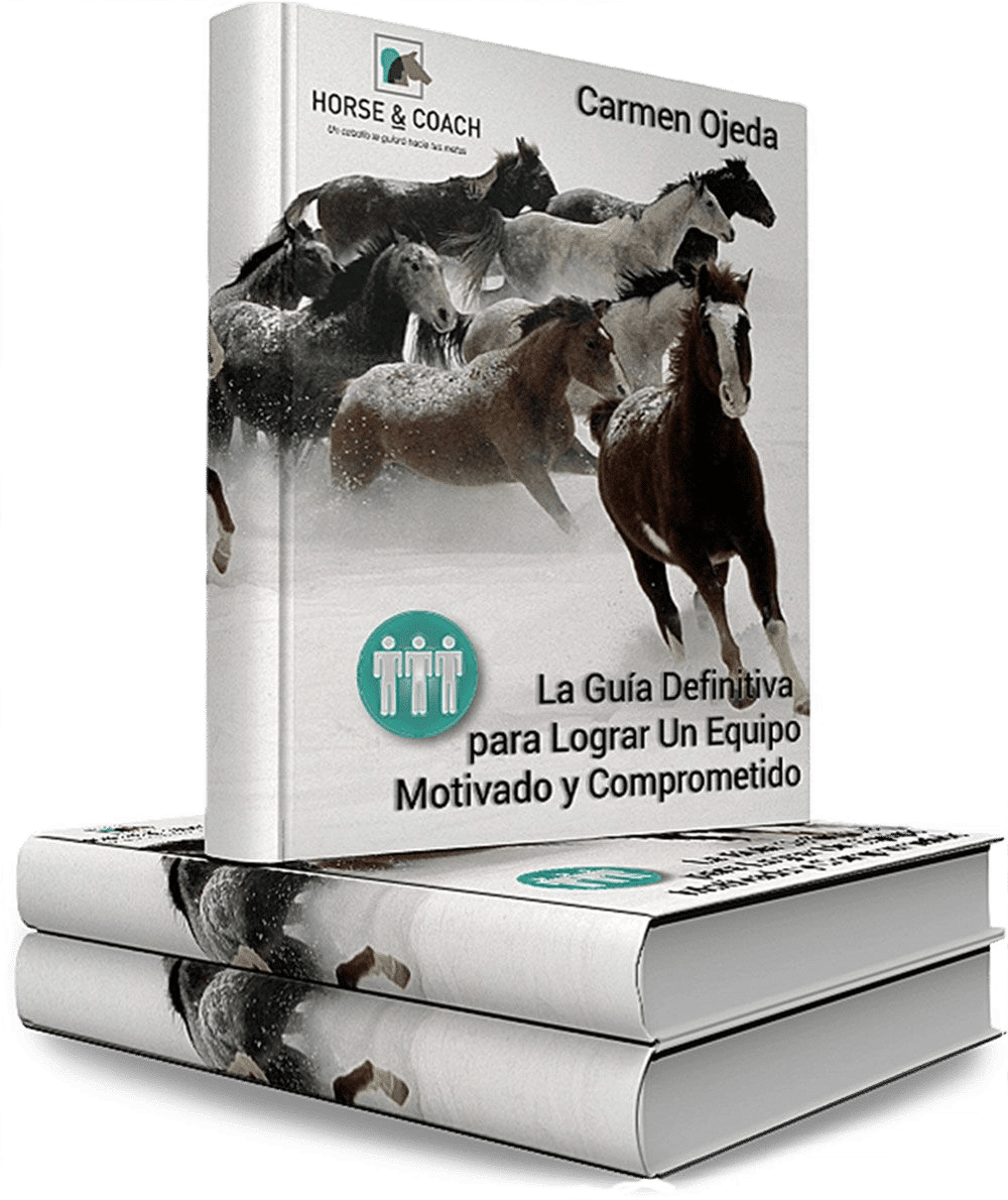 ebook-HC